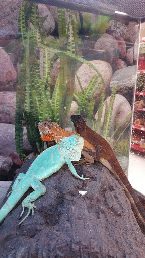 Pet Supply Store «Petco Animal Supplies», reviews and photos, 1018 Mt Prospect Plaza, Mt Prospect, IL 60056, USA