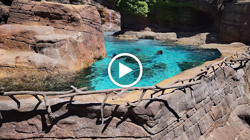 Zoo «Indianapolis Zoo», reviews and photos, 1200 W Washington St, Indianapolis, IN 46222, USA