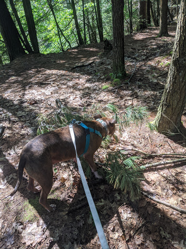 Pet Supply Store «USA Dog Shop», reviews and photos, 549 NY-17, Tuxedo Park, NY 10987, USA