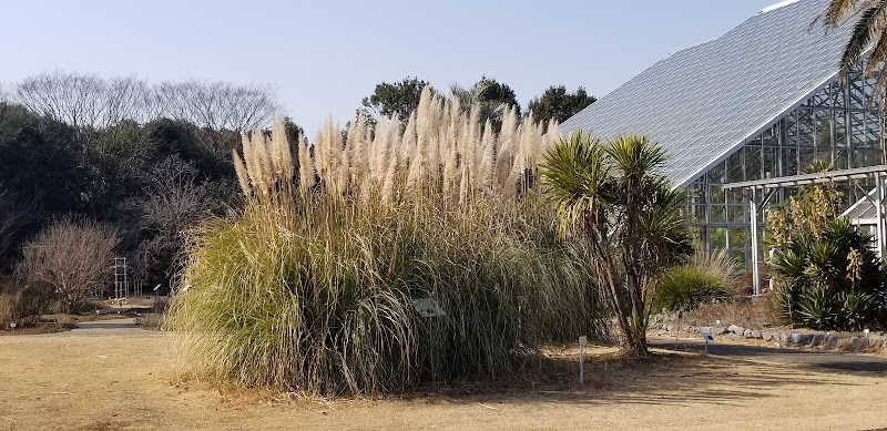 国立科学博物館筑波実験植物園 茨城県つくば市天久保 植物園 グルコミ