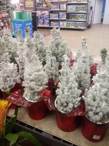 Shopping Mall «Riverton Commons», reviews and photos, 10 Riverton Commons Dr, Front Royal, VA 22630, USA