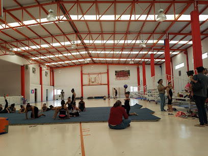 Gimnasio Municipal Villa Alegre - Cataluña 6284, Villa Alegre, 64130 Monterrey, N.L., Mexico