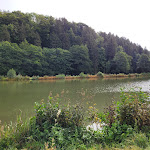 Photo n°3 de l'avis de André.a fait le 16/09/2022 à 07:48 sur le  Hotel Edelweiss à Willingen