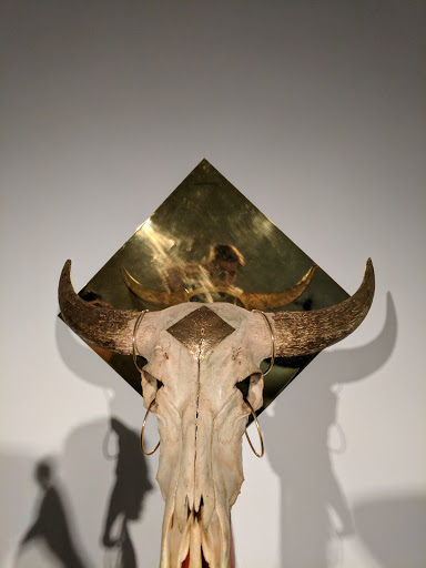 Art Museum «Blaffer Art Museum», reviews and photos, 4173 Elgin St, Houston, TX 77004, USA