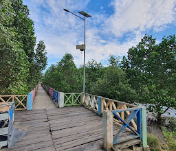 Tracking Mangrove Lahundape photo