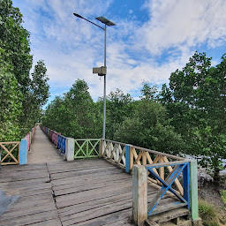 Tracking Mangrove Lahundape