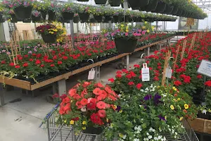 Seasons Harvest Greenhouse and Garden Center image