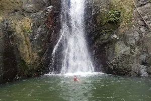 Argyle Falls image