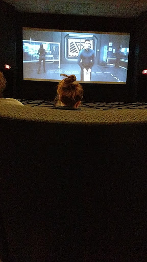 Movie Theater «Republic Movie Theatre», reviews and photos, 1415 Marion-Waldo Rd, Marion, OH 43302, USA