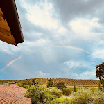 Photo n°6 de l'avis de Alexandra. fait le 08/08/2023 à 12:46 sur le  L'Andana à Castiglione della Pescaia