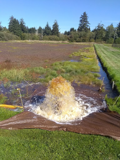 Museum «Cranberry Museum», reviews and photos, 2907 Pioneer Rd, Long Beach, WA 98631, USA