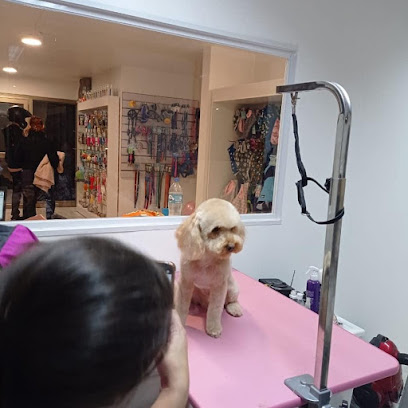 MUNDO CANINO Peluqueria canina & tienda de mascotas