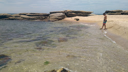 Zdjęcie Praia das Conchinhas położony w naturalnym obszarze