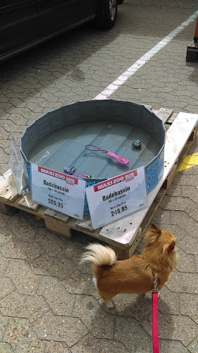 Kommentarer og anmeldelser af Maxi Zoo Esbjerg