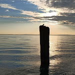 Photo n°1 de l'avis de Ben.o fait le 10/10/2020 à 14:14 sur le  Vela Bianca à Lazise