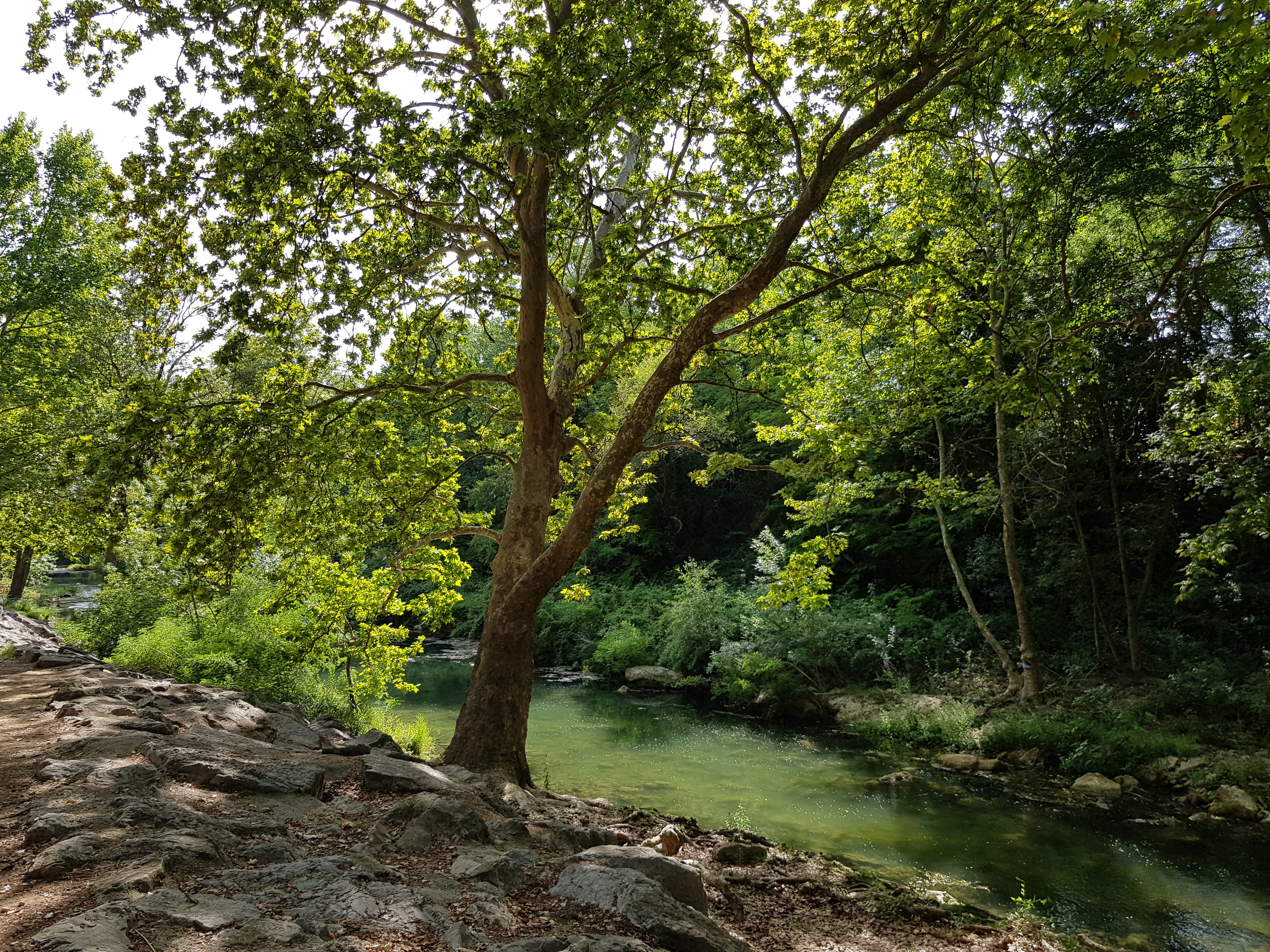 Photo n° 4 de l'avis de Bruno.S fait le 06/08/2019 à 15:24
