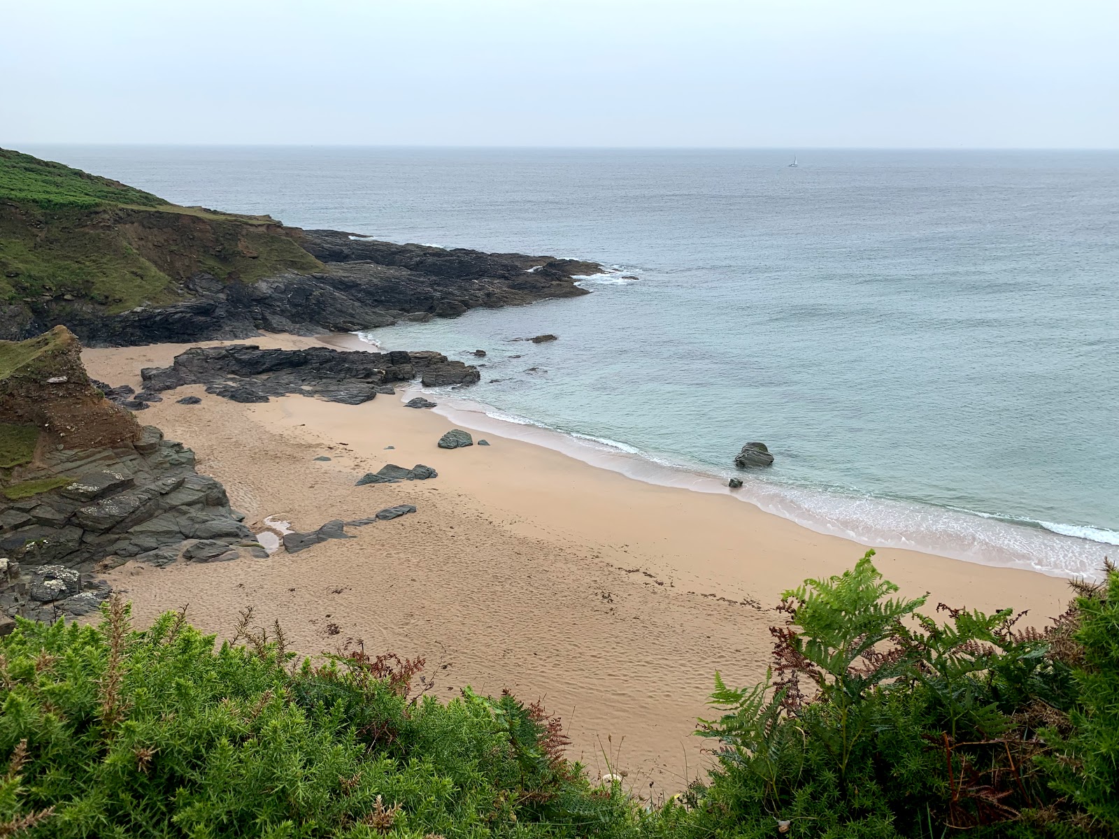 Photo de Gara Rock beach situé dans une zone naturelle