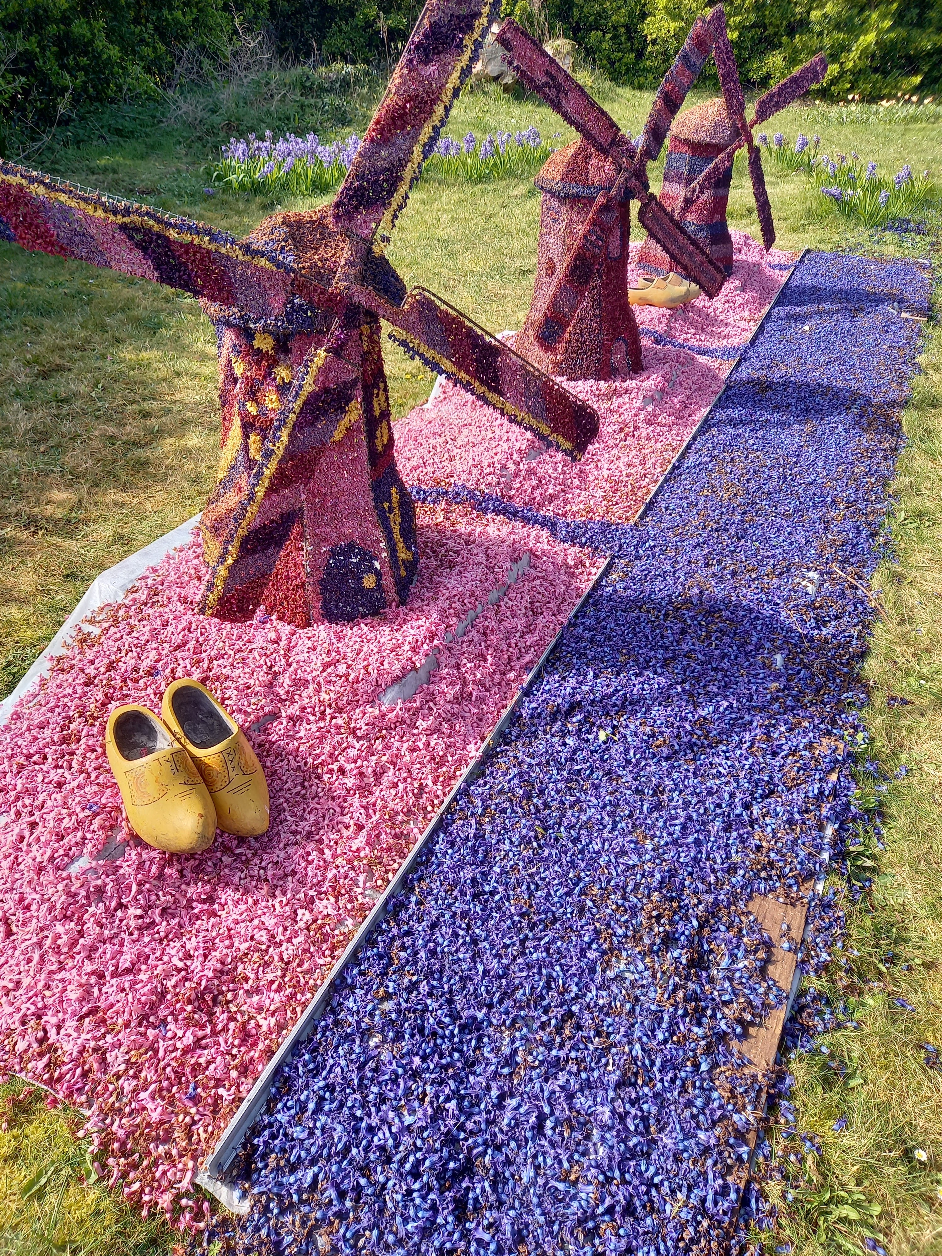 Photo n° 6 de l'avis de denis.i fait le 25/03/2021 à 11:34