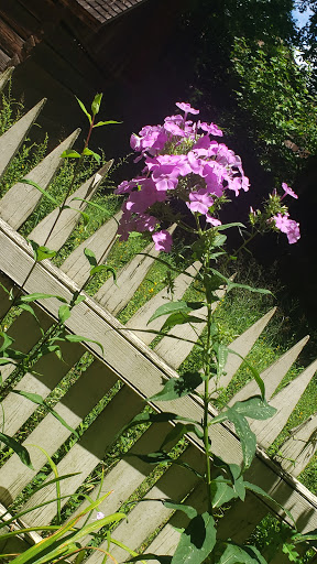 Museum «Atlanta History Center», reviews and photos, 130 West Paces Ferry Rd NW, Atlanta, GA 30305, USA