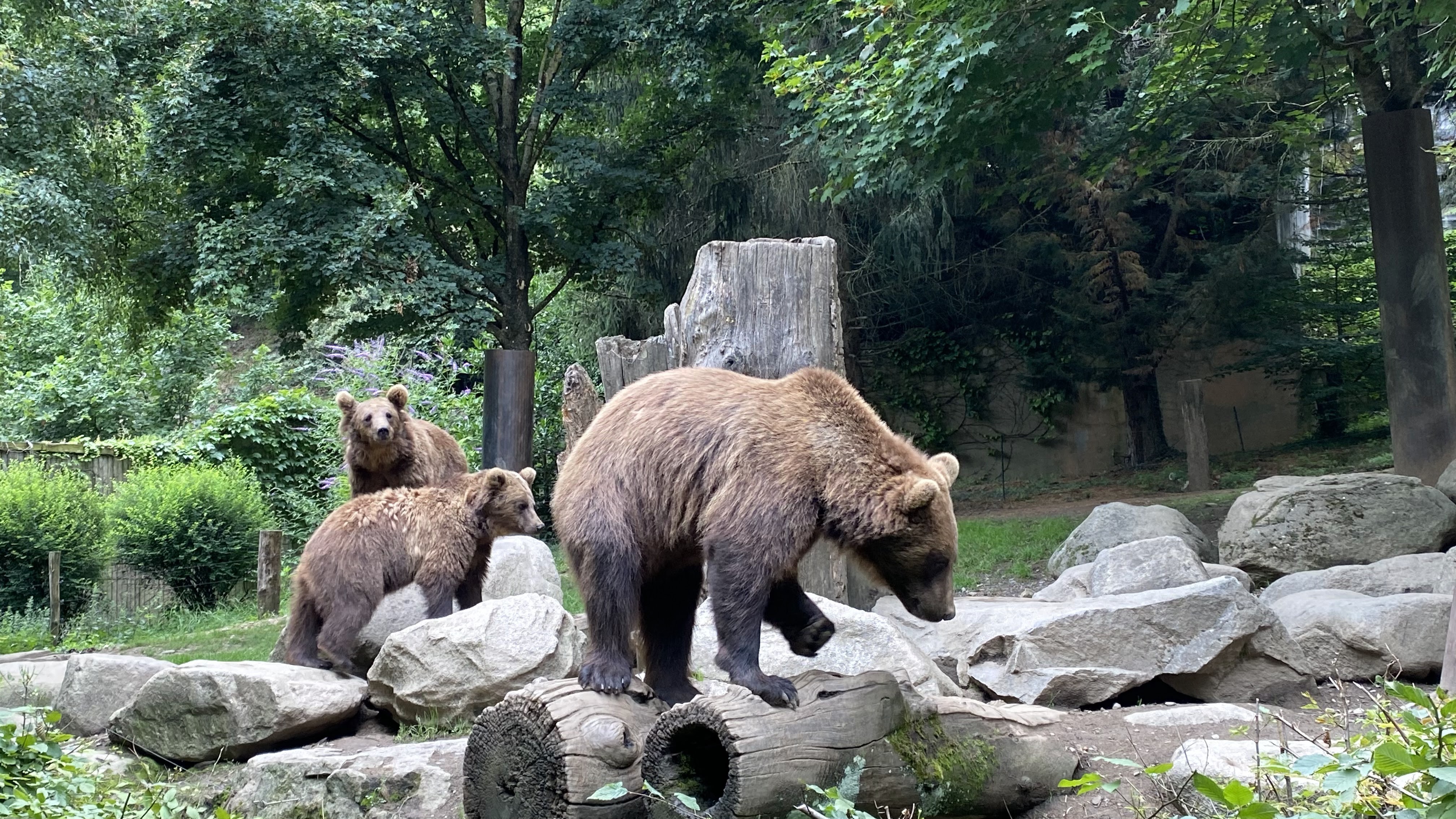 Photo n° 6 de l'avis de Jérémie.o fait le 10/07/2021 à 20:40