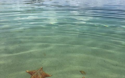 Starfish Beach image