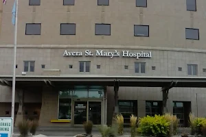 Avera St. Mary's Hospital image