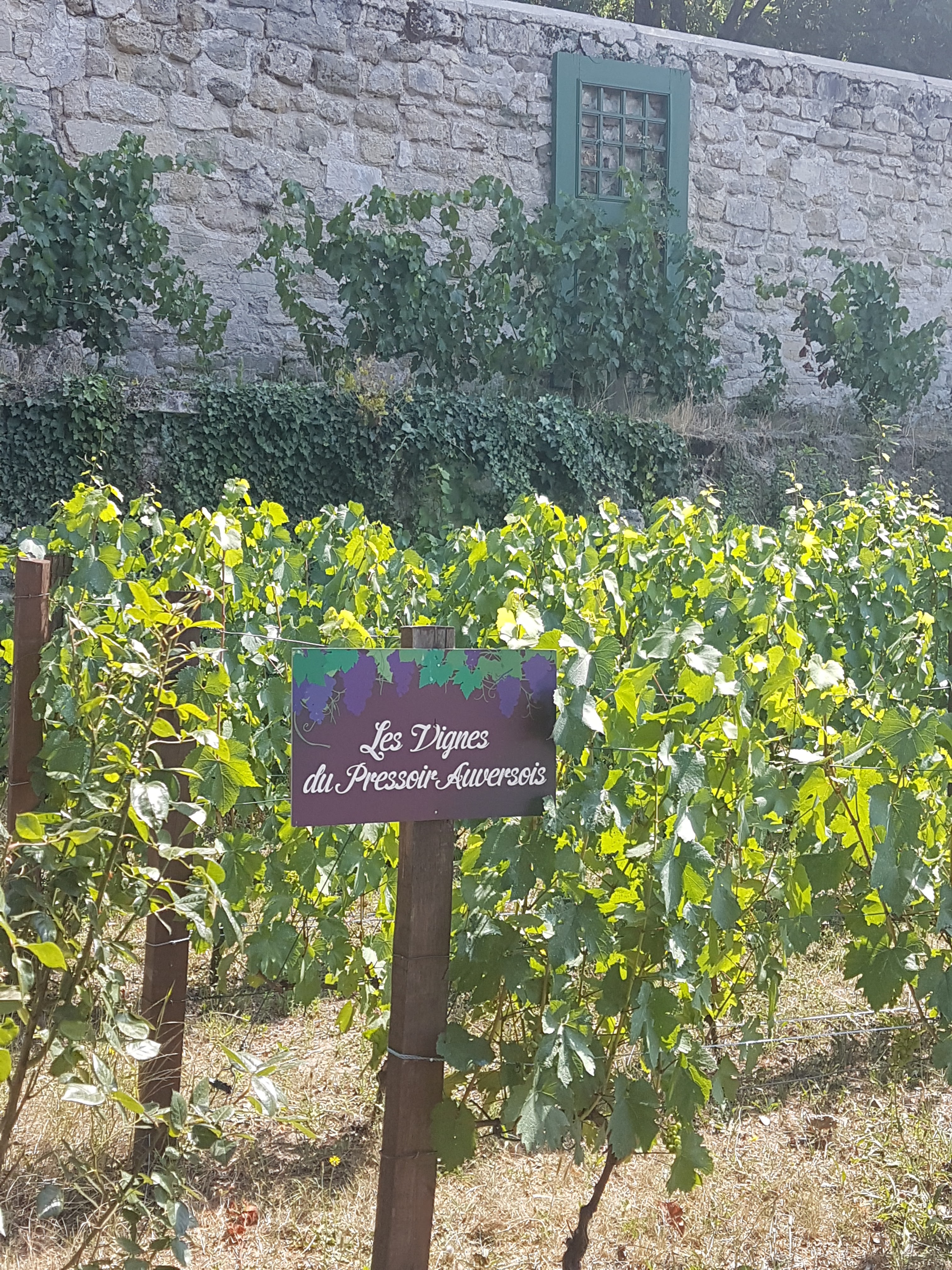 Photo n° 7 de l'avis de nathalie.e fait le 13/07/2020 à 19:53