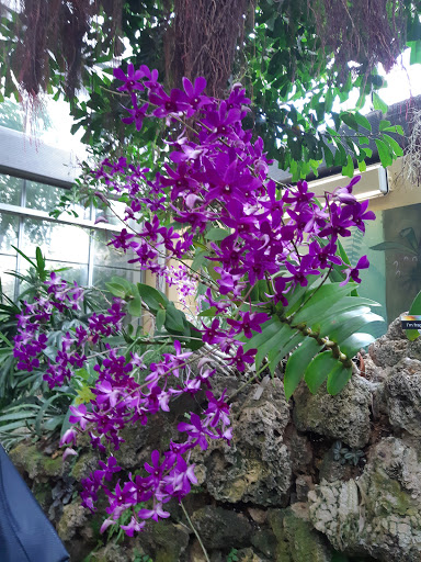 Library «National Gallery of Art Library», reviews and photos, 4th St NW, Washington, DC 20565, USA