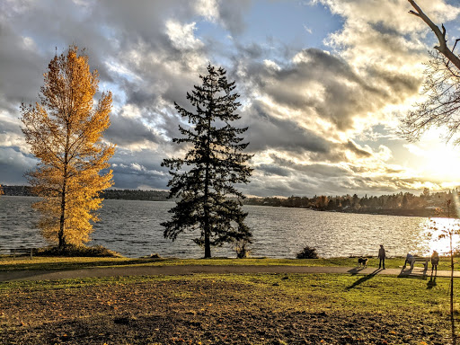 Park «Seward Park», reviews and photos, 5900 Lake Washington Blvd S, Seattle, WA 98118, USA