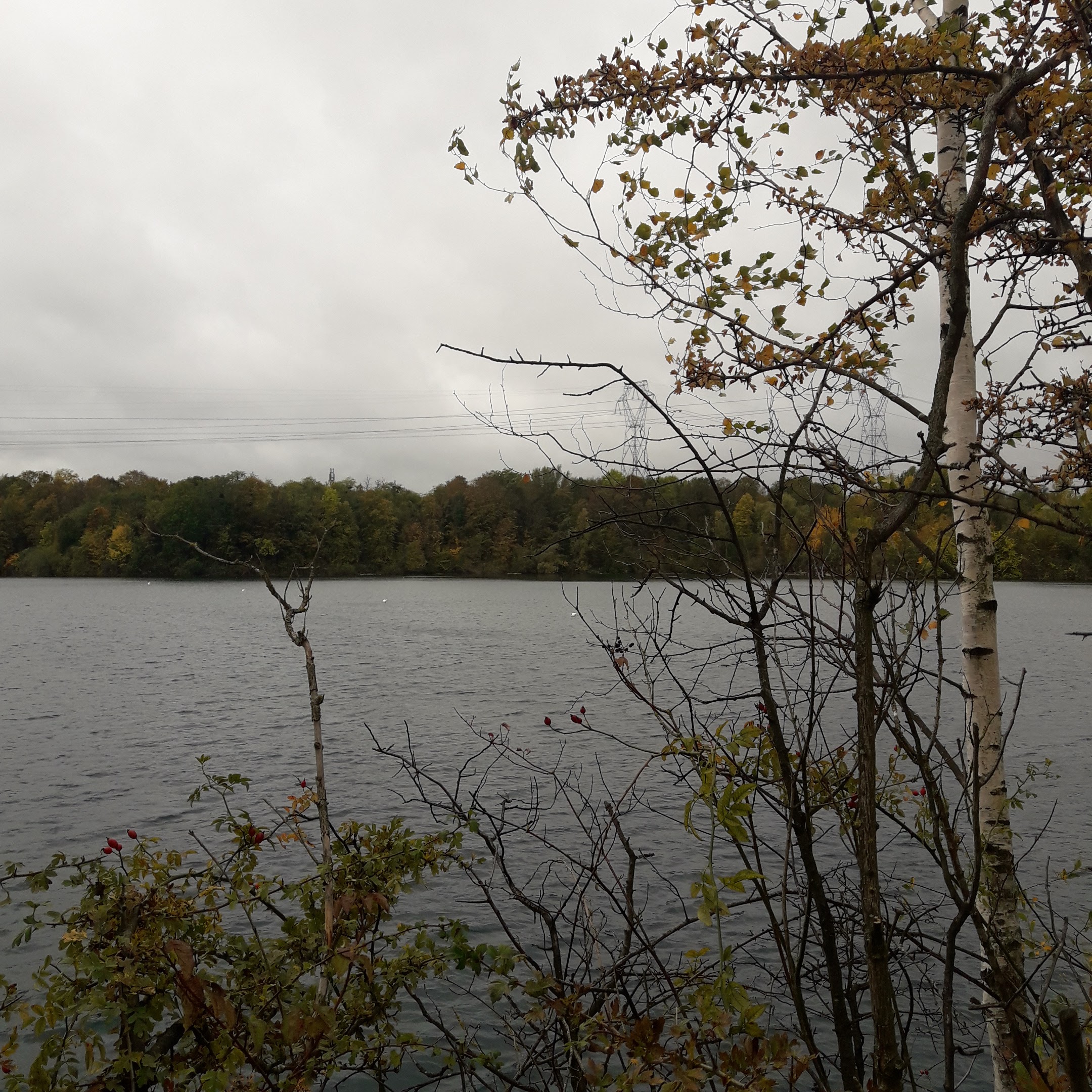 Photo n° 8 de l'avis de Laurent.a fait le 28/09/2019 à 16:59