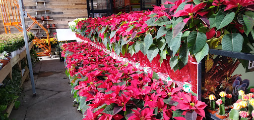 Home Improvement Store «The Home Depot», reviews and photos, 7001 Crestwood Blvd #1300, Birmingham, AL 35210, USA