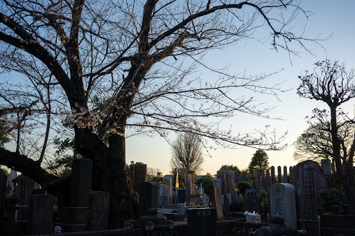 Tennoji Cemetery