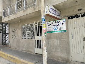 Veterinaria Huellitas