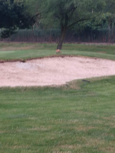 Golf Course «Merrick Golf Course», reviews and photos, 2550 Clubhouse Rd #1, Merrick, NY 11566, USA