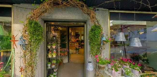 Rezensionen über Floristikwerkstatt Rita Heller in Emmen - Blumengeschäft