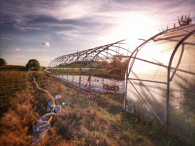 Ferme de la Guinguette à Ogéviller
