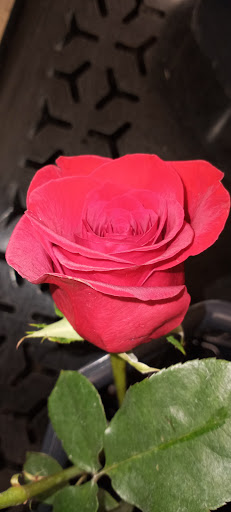 Grocery Store «Family Fare Supermarket», reviews and photos, 1100 13th Ave E, West Fargo, ND 58078, USA