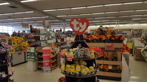 Craft Store «A.C. Moore», reviews and photos, 3670 McKinley Pkwy #1, Blasdell, NY 14219, USA