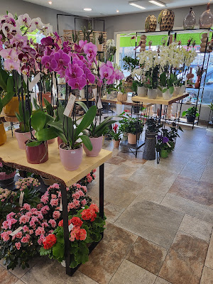 Parfum de Fleurs à Podensac
