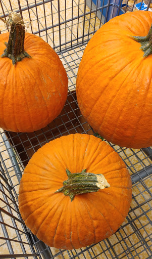 Supermarket «ALDI», reviews and photos, 7235 39th St, Lyons, IL 60534, USA