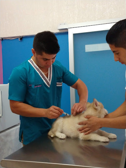 Veterinaria 'Pets-Group'