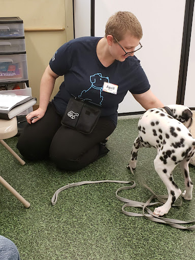 Pet Supply Store «Petco Animal Supplies», reviews and photos, 3055 N President George Bush Hwy, Garland, TX 75040, USA