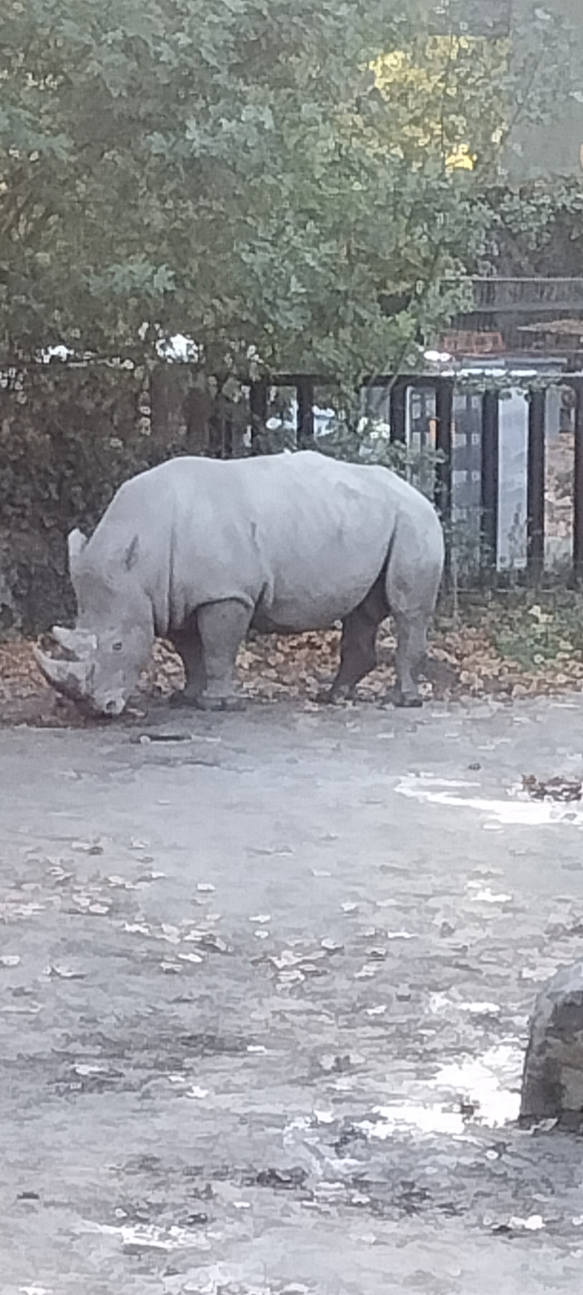 Photo n° 19 de l'avis de Sylvie.U fait le 07/11/2022 à 08:33