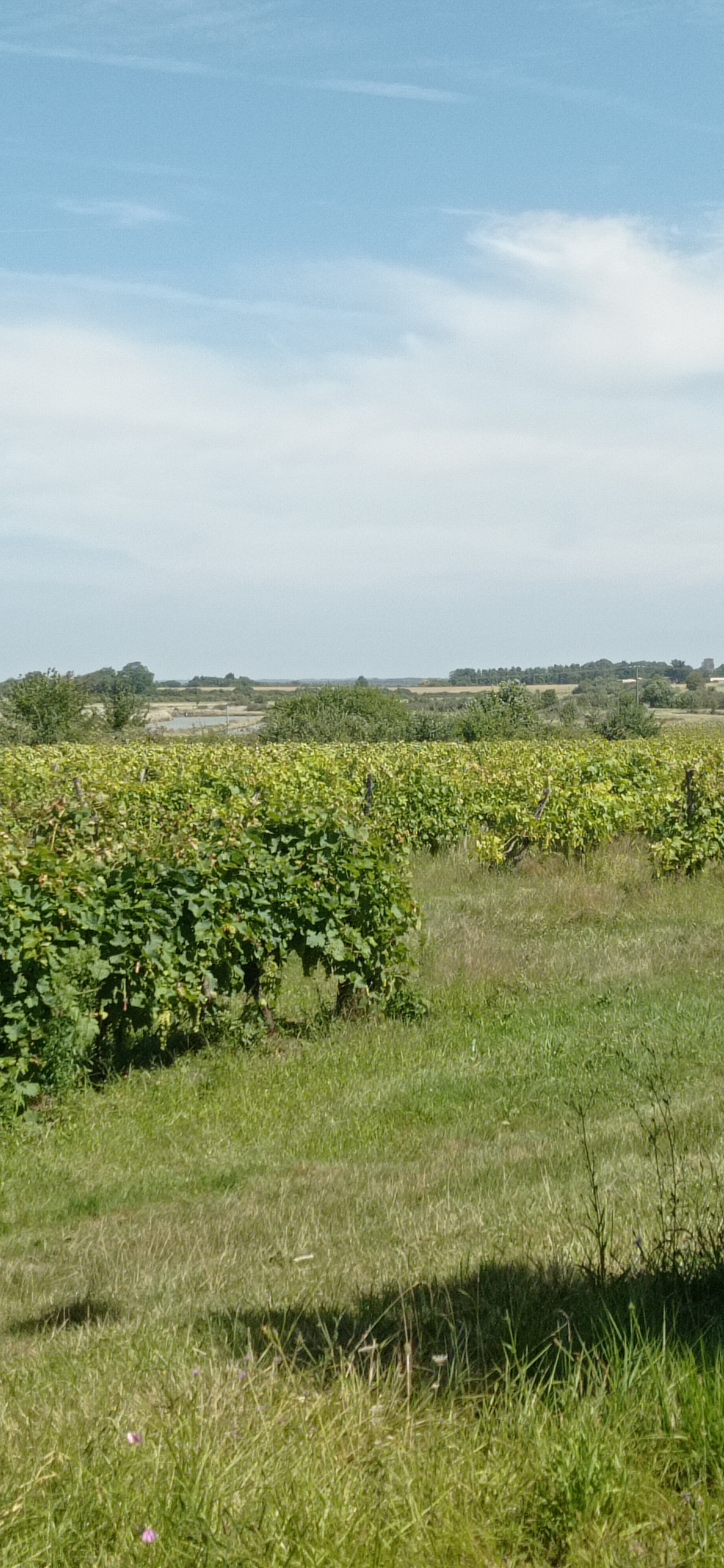 Photo n° 1 de l'avis de Céline.A fait le 10/08/2023 à 23:24