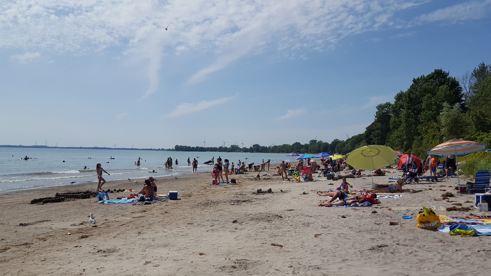 Photo de Wainfleet Public Beach avec un niveau de propreté de très propre