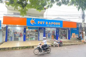 Pet Shop Raposo image