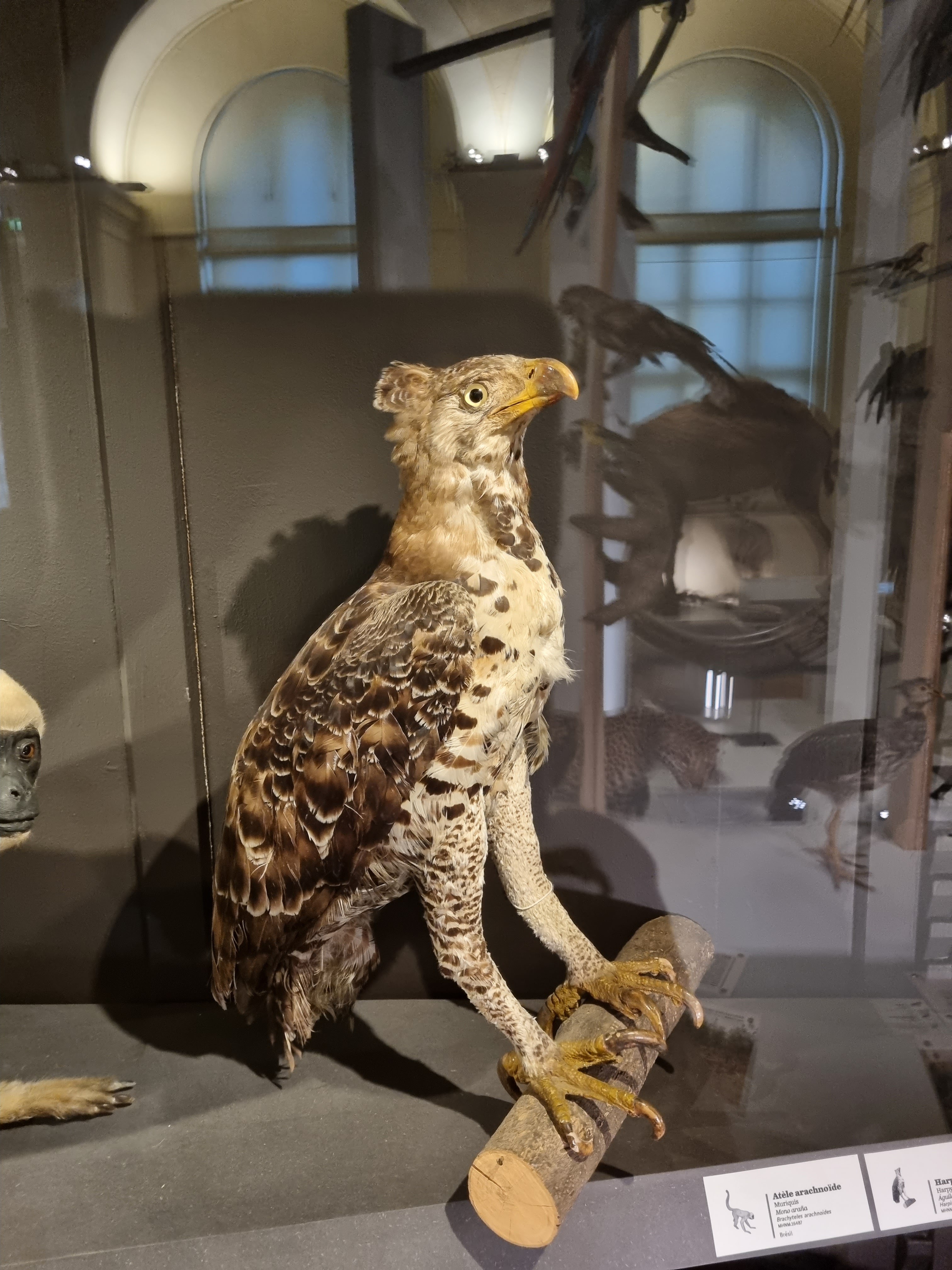 Photo n° 4 de l'avis de Jean-Louis.E fait le 15/08/2023 à 21:58