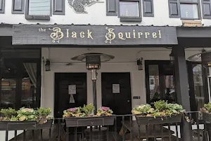 The Black Squirrel Pub and Haunt image