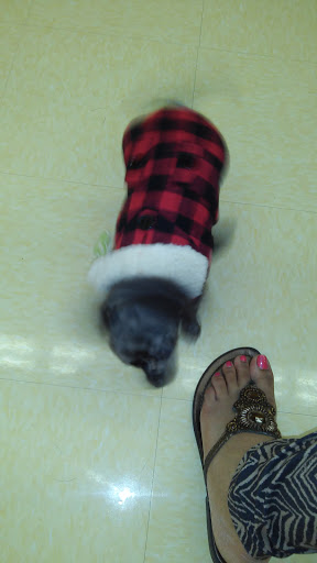 Pet Supply Store «Petco Animal Supplies», reviews and photos, 8551 S Howell Ave, Oak Creek, WI 53154, USA