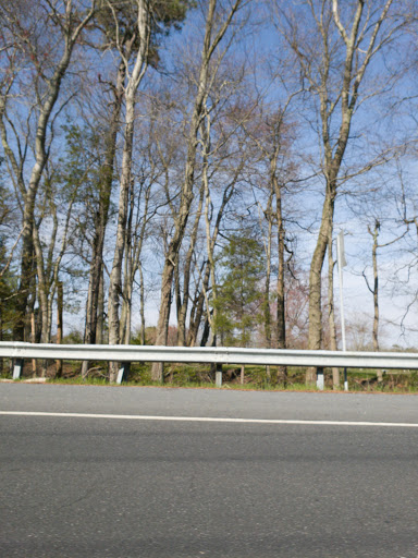 Public Golf Course «Hamilton Trails Golf Club», reviews and photos, 620 Harbor Ave, Mays Landing, NJ 08330, USA